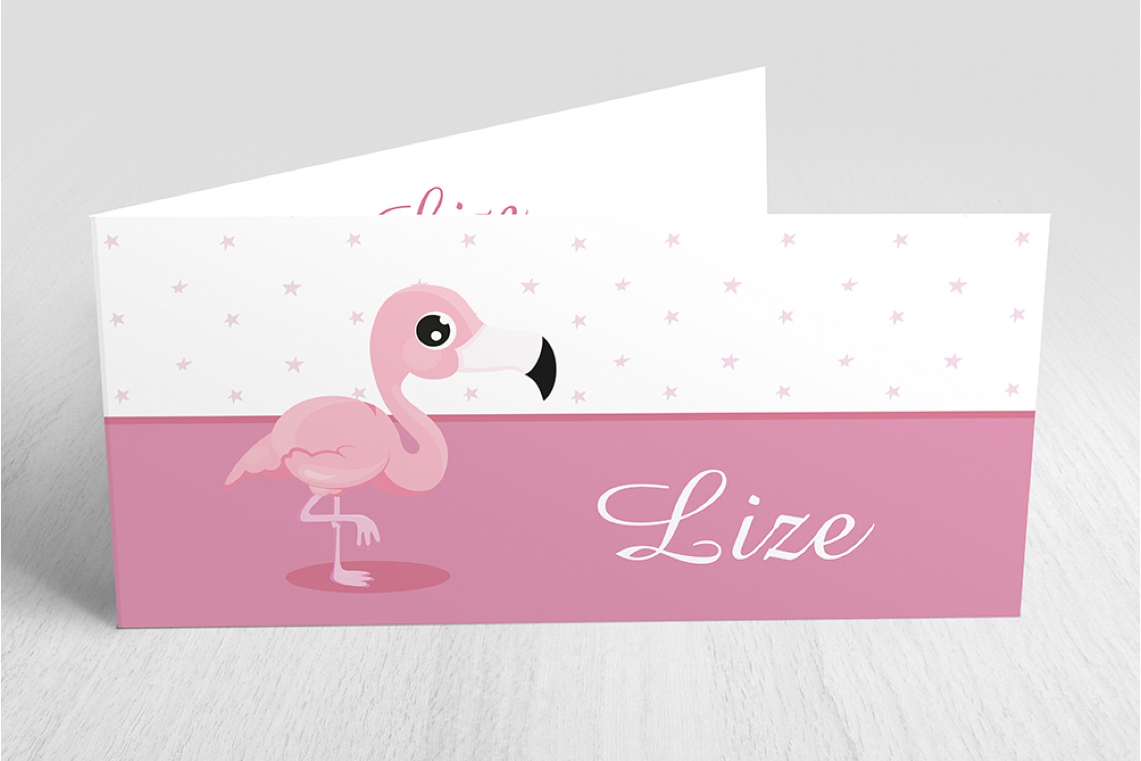 Baby flamingo